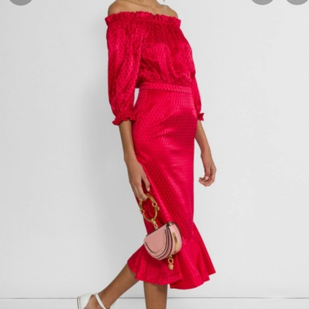SALONI dress || size 2